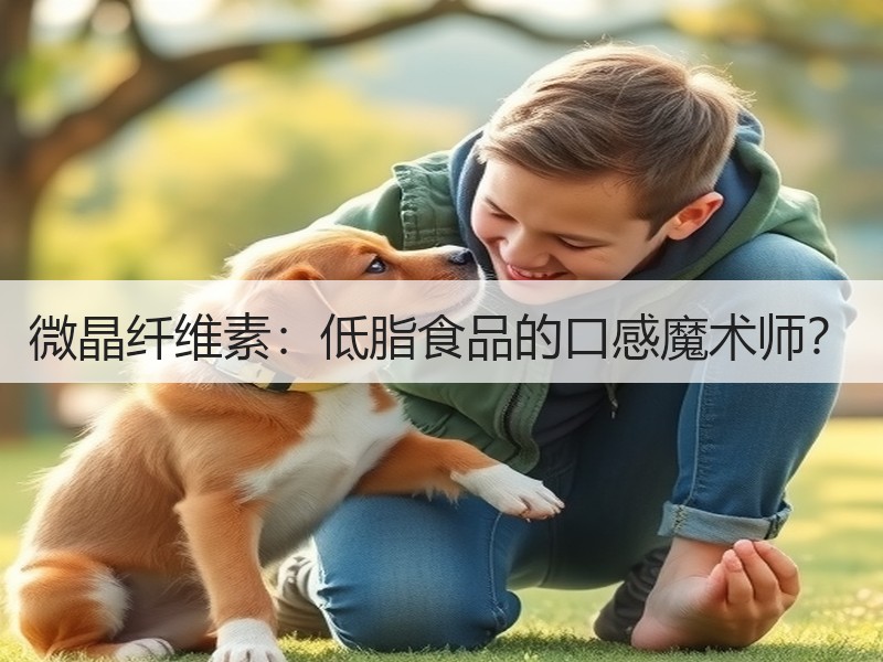 微晶纤维素：低脂食品的口感魔术师？