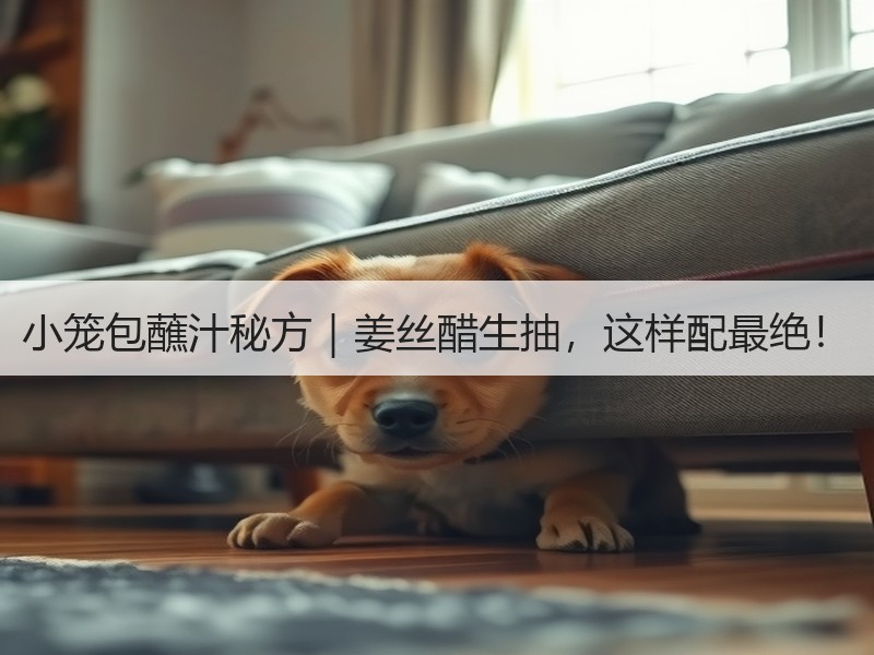 小笼包蘸汁秘方｜姜丝醋生抽，这样配最绝！