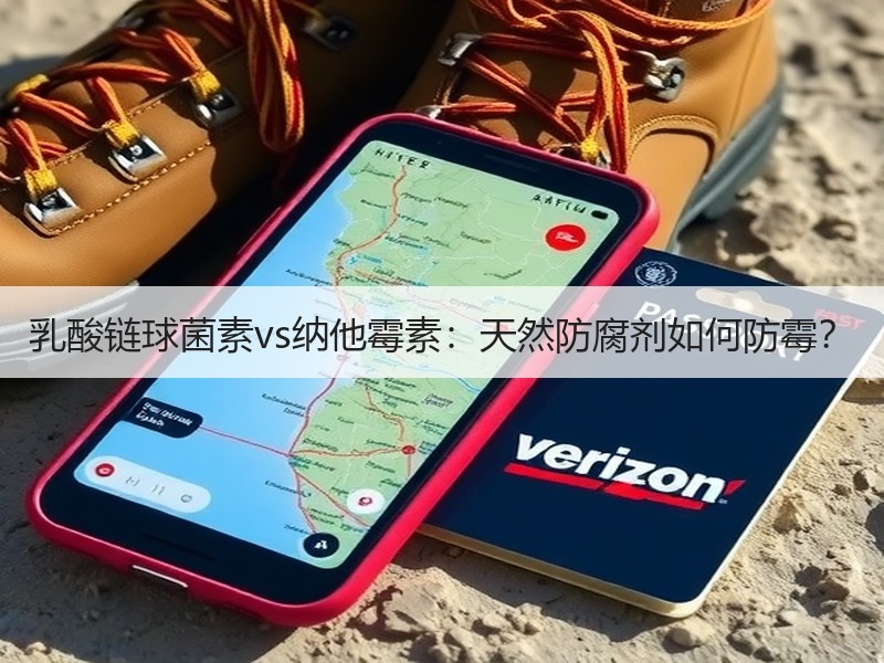 乳酸链球菌素vs纳他霉素：天然防腐剂如何防霉？