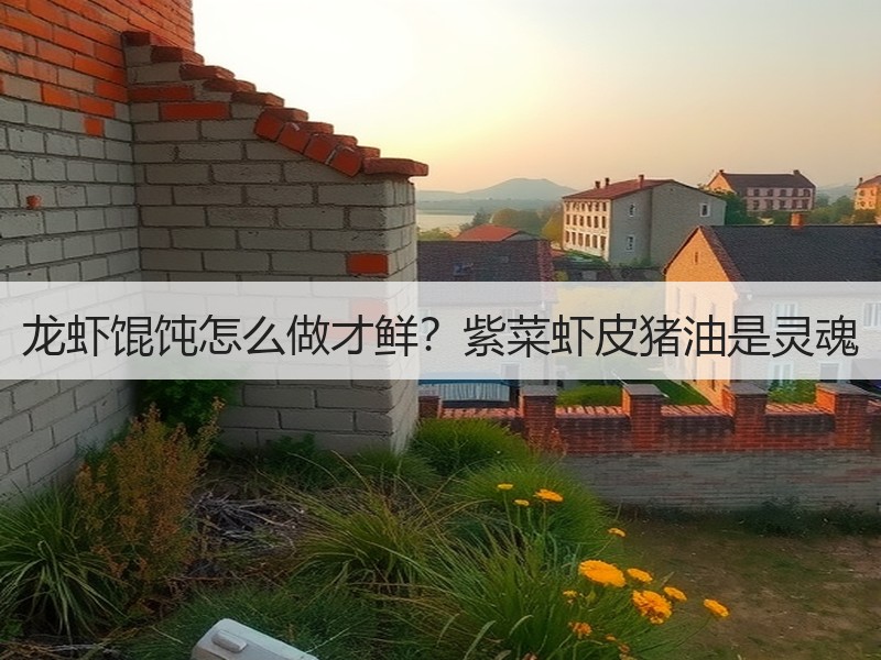 龙虾馄饨怎么做才鲜？紫菜虾皮猪油是灵魂