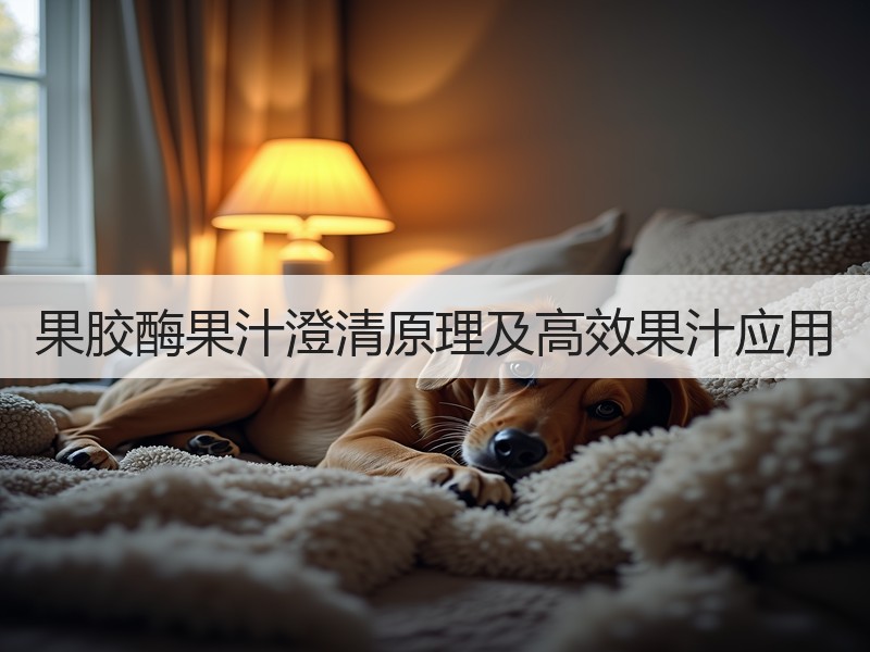 果胶酶果汁澄清原理及高效果汁应用