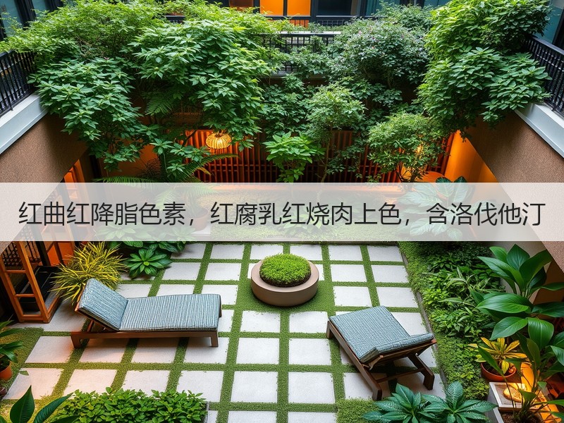 红曲红降脂色素，红腐乳红烧肉上色，含洛伐他汀