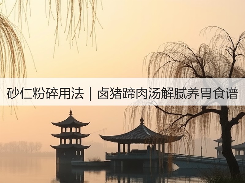 砂仁粉碎用法｜卤猪蹄肉汤解腻养胃食谱
