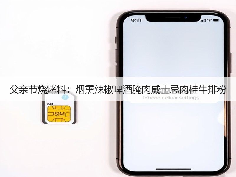 父亲节烧烤料：烟熏辣椒啤酒腌肉威士忌肉桂牛排粉