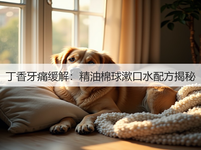 丁香牙痛缓解：精油棉球漱口水配方揭秘