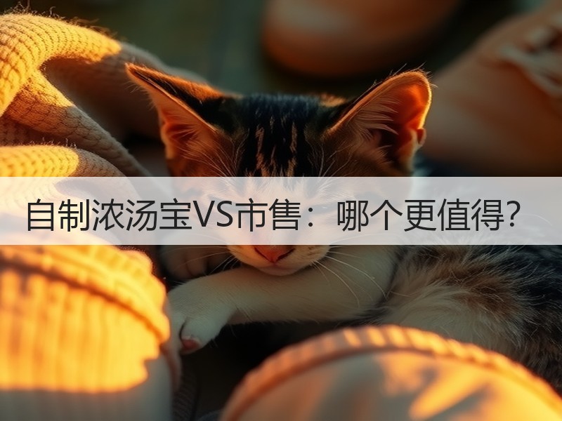 自制浓汤宝VS市售：哪个更值得？