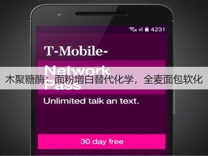 木聚糖酶：面粉增白替代化学，全麦面包软化