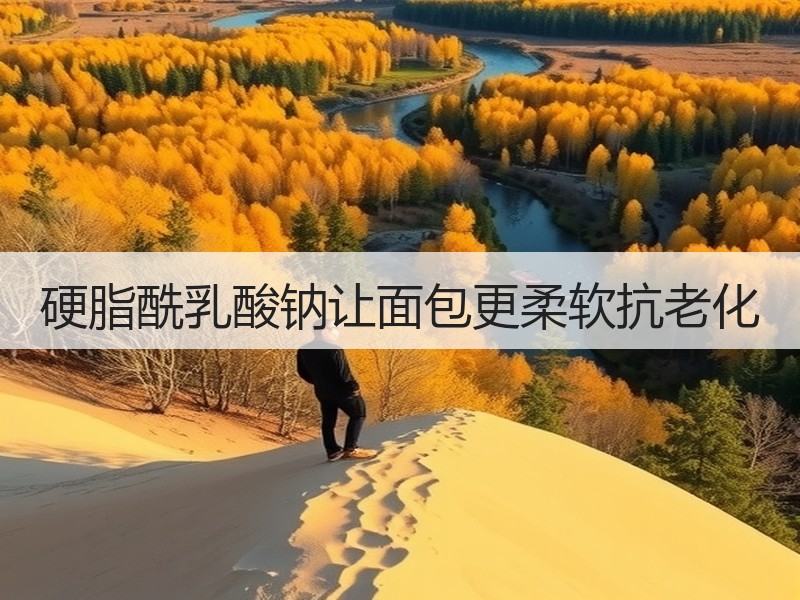硬脂酰乳酸钠让面包更柔软抗老化