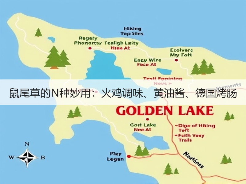 鼠尾草的N种妙用：火鸡调味、黄油酱、德国烤肠