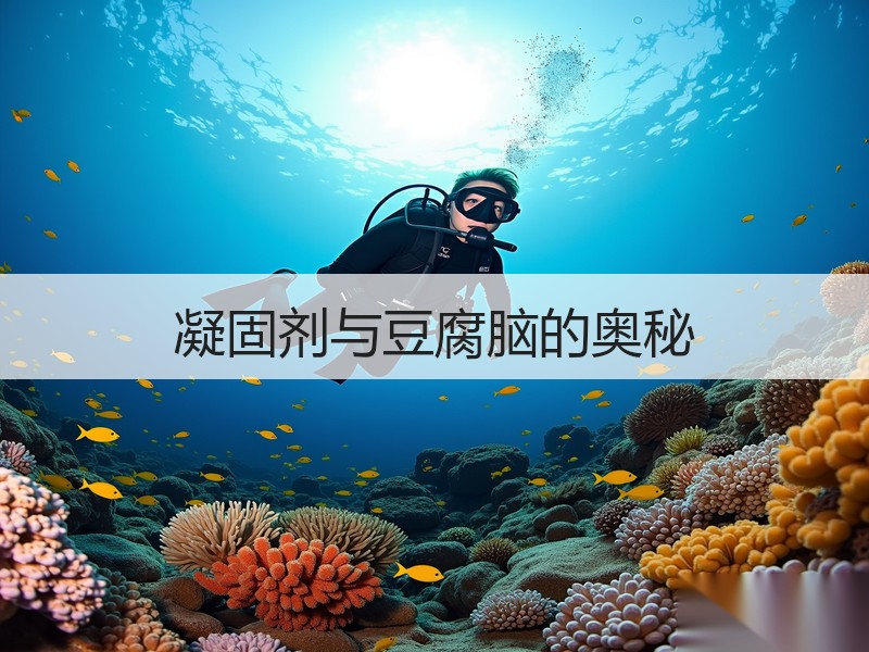 凝固剂与豆腐脑的奥秘