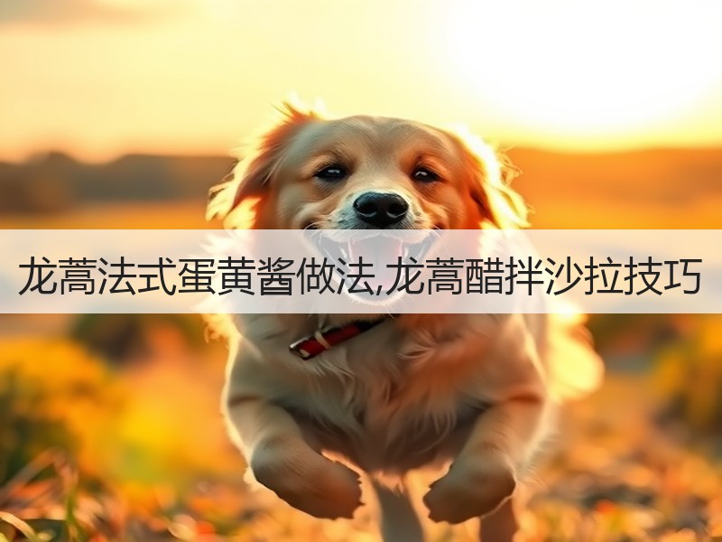 龙蒿法式蛋黄酱做法,龙蒿醋拌沙拉技巧