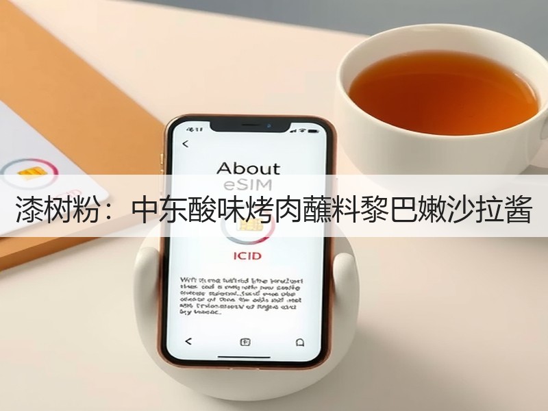 漆树粉：中东酸味烤肉蘸料黎巴嫩沙拉酱