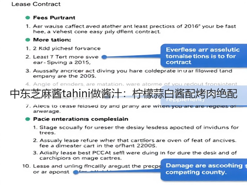 中东芝麻酱tahini做酱汁：柠檬蒜白酱配烤肉绝配