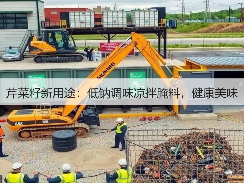 芹菜籽新用途：低钠调味凉拌腌料，健康美味