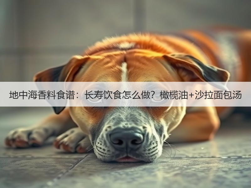 地中海香料食谱：长寿饮食怎么做？橄榄油+沙拉面包汤