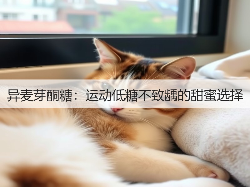 异麦芽酮糖：运动低糖不致龋的甜蜜选择