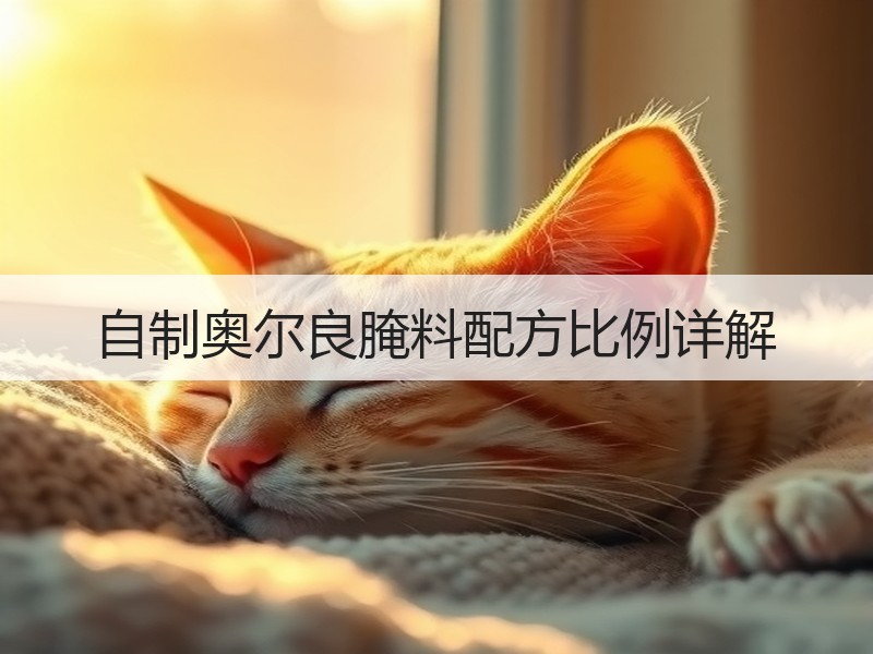自制奥尔良腌料配方比例详解