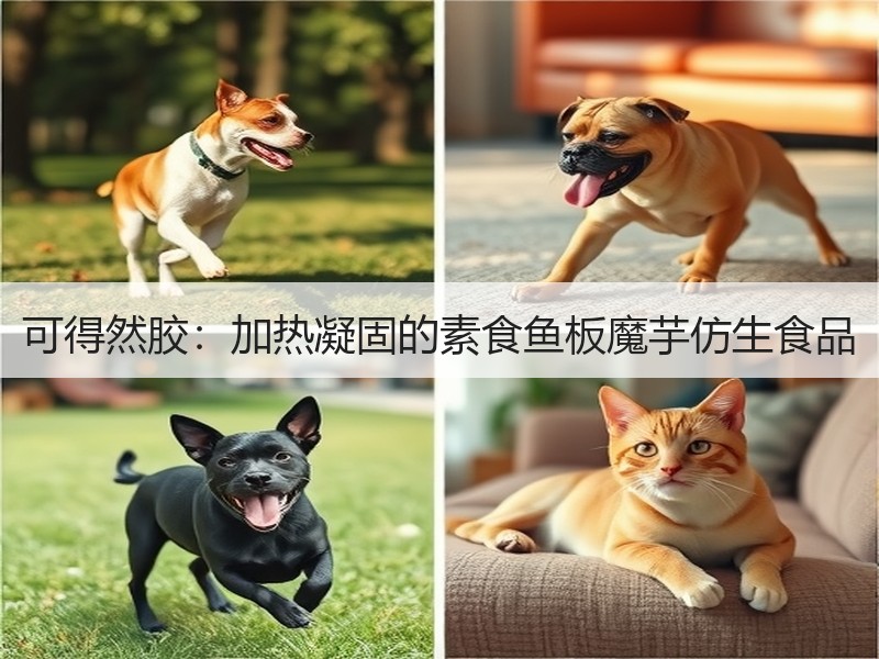 可得然胶：加热凝固的素食鱼板魔芋仿生食品