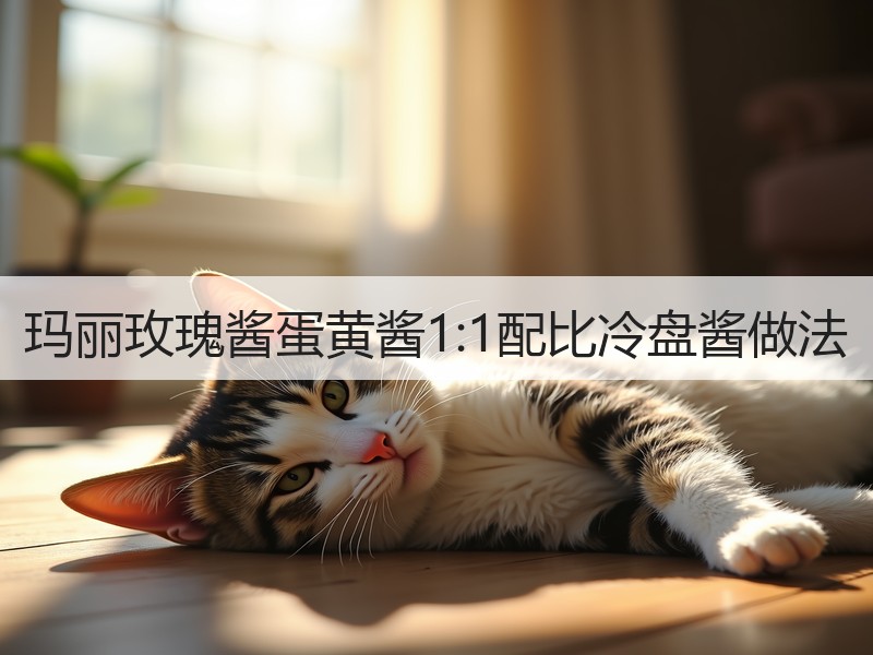 玛丽玫瑰酱蛋黄酱1:1配比冷盘酱做法